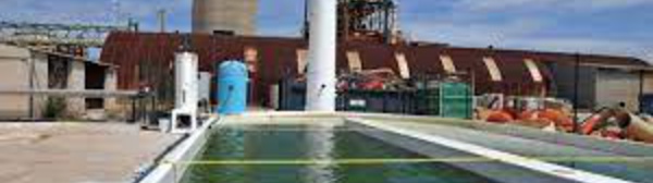 Captage et stockage de carbone : une gigantesque ferme d’algues au Maroc