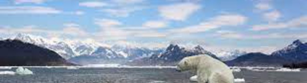 La banquise antarctique touchée par une fonte inhabituelle
