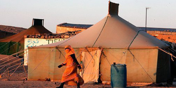 Les députés européens interpellés sur les violations systématiques des droits humains dans les camps de Tindouf