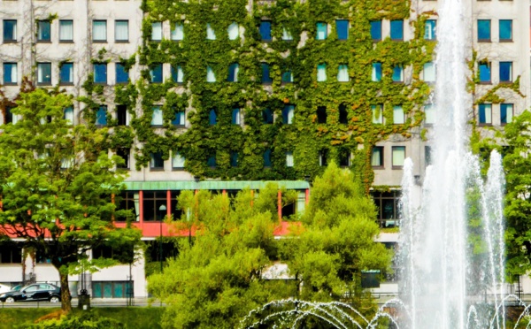 Comment nos villes peuvent-elles se servir de la nature pour faire face aux canicules ? 