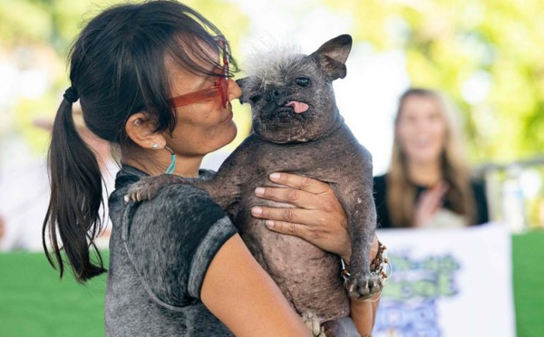 "M. Happy Face" : ce chien a été nommé le plus laid du monde