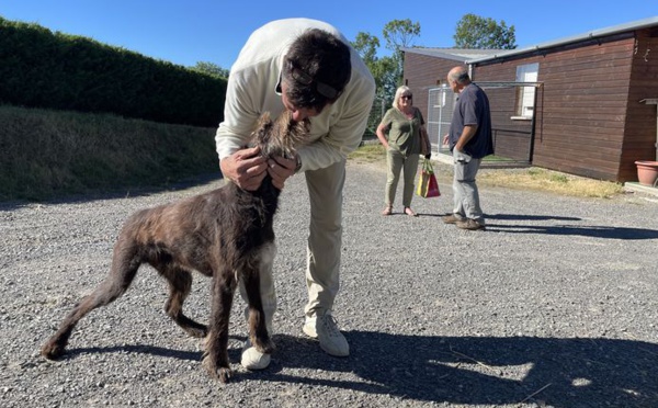 France : Un chien retrouve sa famille dix ans après avoir été volé