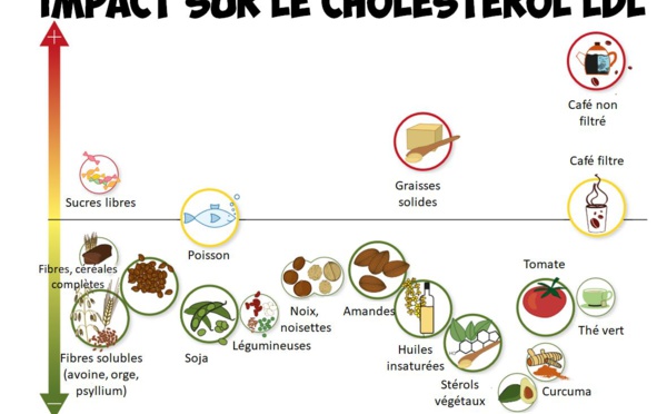 L'avocat contre le cholestérol
