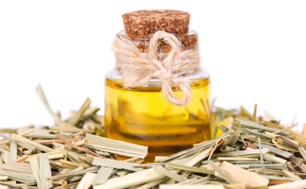 Le répulsif 100% naturel anti-moustiques