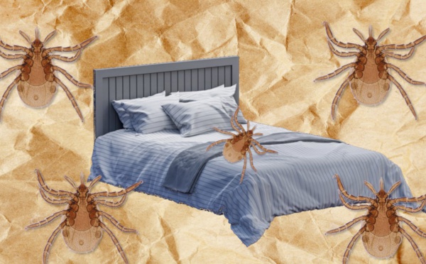 Ne pas faire son lit, le nouveau geste santé ?