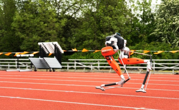 Cassie, le robot bipède :  compétition pour Usain Bolt ? 