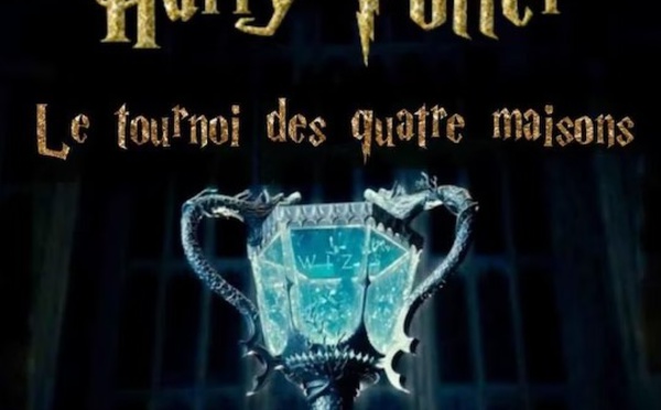 Une émission Harry Potter arrive sur TF1
