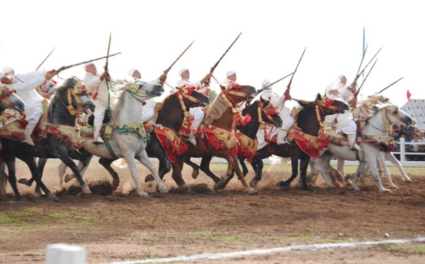Le rideau tombe sur la 13e édition du Salon du cheval d'El Jadida