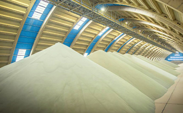 Une aubaine pour l’OCP : Les contraintes sur l’offre fixent les cours à des niveaux élevés