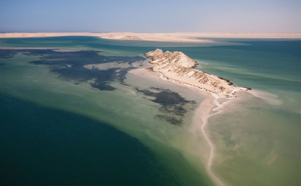 À la découverte de l'île du dragon à Dakhla