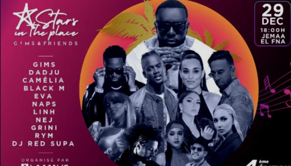 Concert : Stars in The Place 2022 dévoile son line-up !