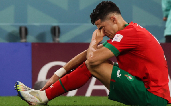 Mondial 2022 : Les Lions blessés passent une série de tests 