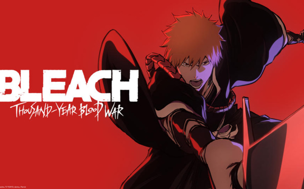 Bleach : la suite du nouvel anime sortira en 2023