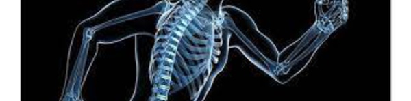 Santé des os et sport