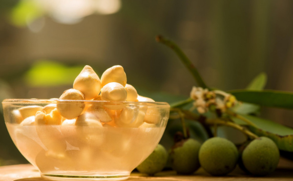 L’huile de calophylle, un trésor pour la peau