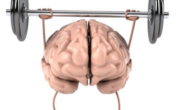 Le but : un cerveau en bonne santé