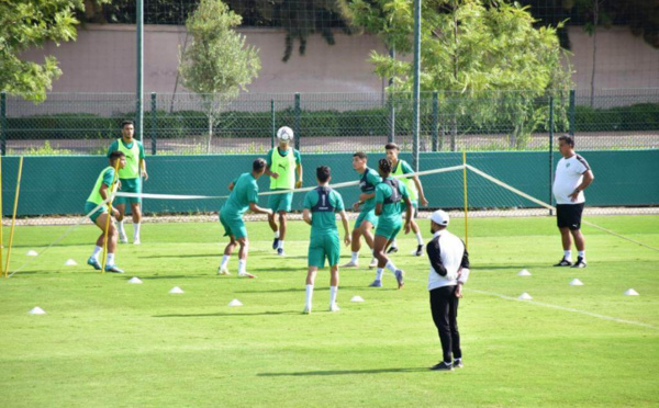 CHAN 2023 : Fin du stage de préparation des Lionceaux