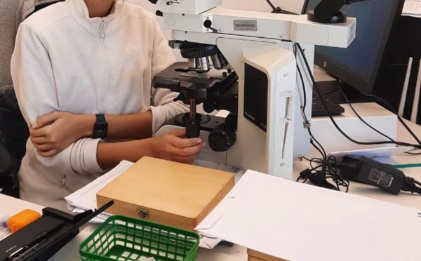 Les examens anatomopathologiques à l’ère du digital