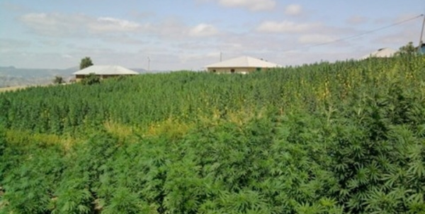 L'ANRAC lance une plateforme pour la demande des autorisations