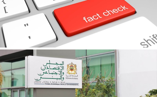 CESE : pour la mise en place une plateforme numérique publique de « fact-checking »