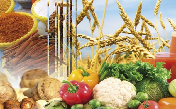 Pressions sur l’offre de denrées alimentaires : ce que dévoilent les chiffres à l’export