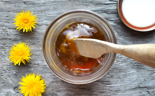 Cramaillote : la recette du miel de pissenlit et ses nombreux vertus