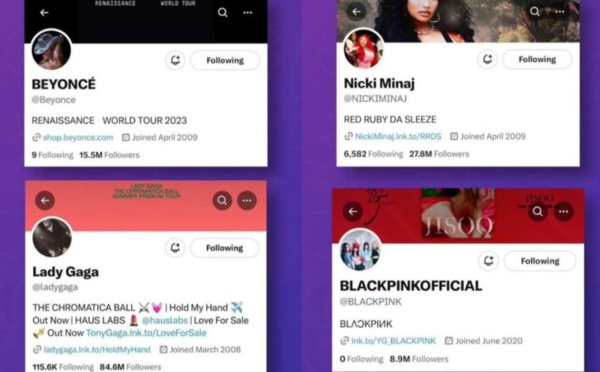 Des célébrités perdent la certification sur twitter