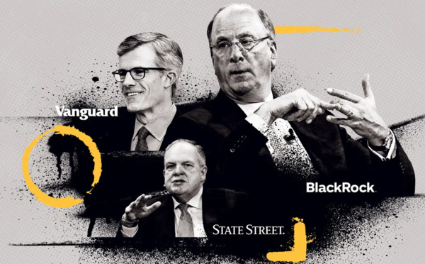 ​BlackRock et Vanguard : Les Géants de la Gestion d'Actifs qui façonnent les Marchés Financiers mondiaux