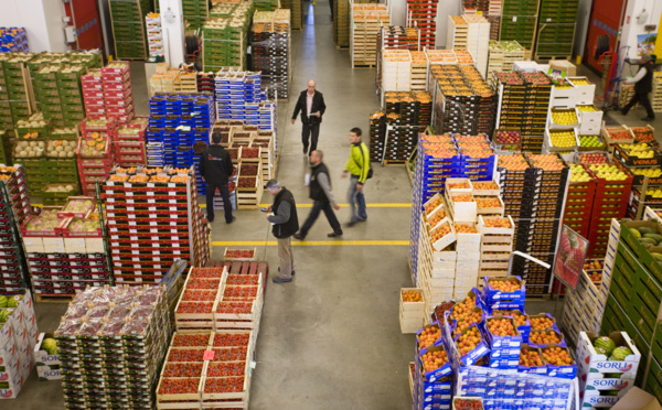 Protection du consommateur : l’apport du projet de loi modifiant et complétant la loi n°31-08