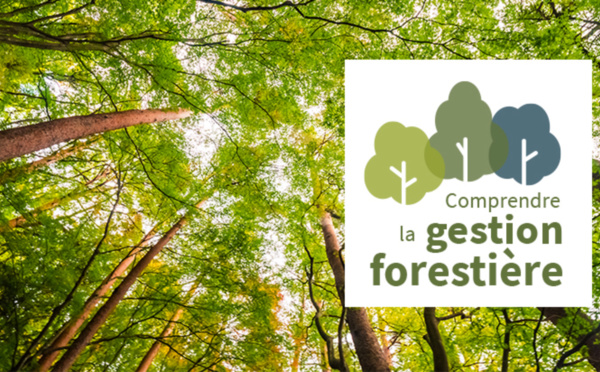 MOOC : comprendre la gestion forestière