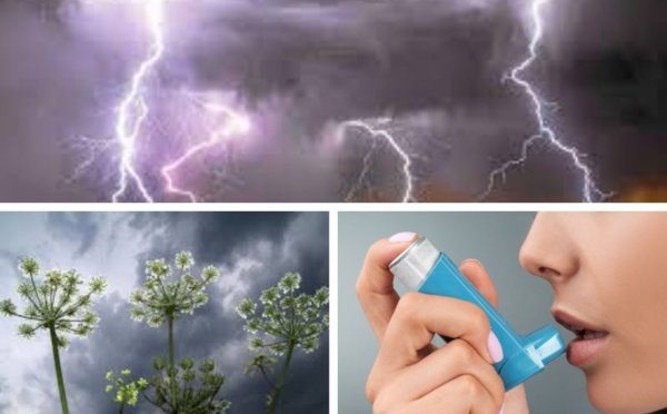 L'asthme d'orage existe bien !