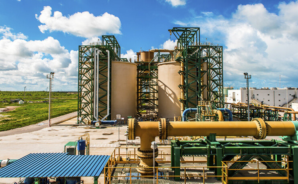 L’OCP va investir 70 milliards de dirhams dans la production d'ammoniac vert 