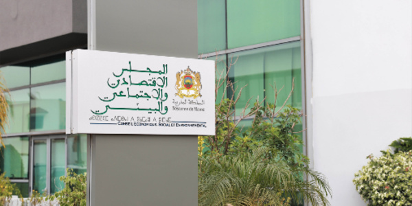 CESE  : lever les barrières financières à l’accès aux soins