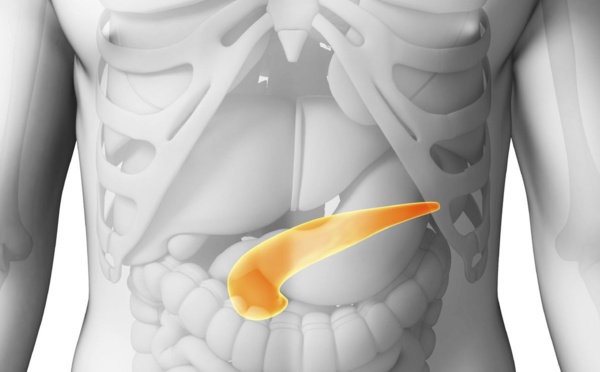 Le cancer du pancréas, la recherche continue !