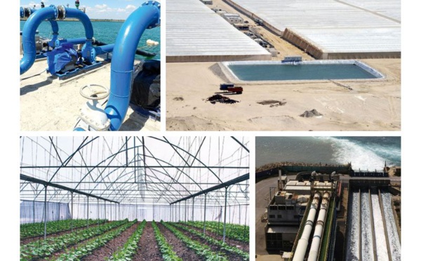 71 000 hectares de terres agricoles avec de l’eau de mer dessalée à l'étude