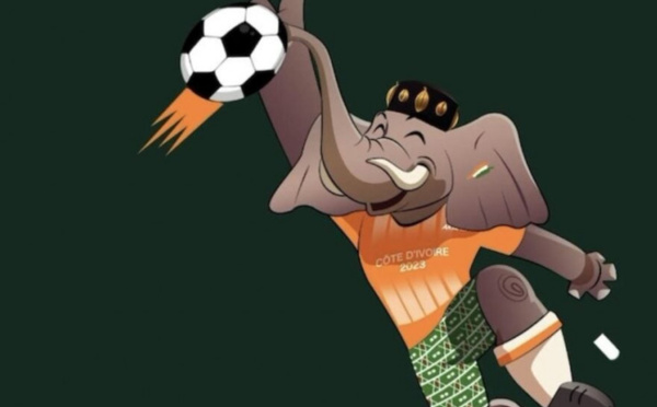 CAN-2024 : la Côte d'Ivoire livrera les infrastructures en août