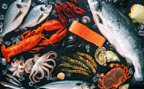 Nasser Bourita dévoile les 3 paramètres de renouvellement du protocole d’accord de pêche Maroc-UE