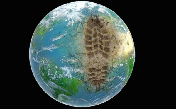 La métamorphose de la Terre : comment l'Anthropocène façonne notre avenir