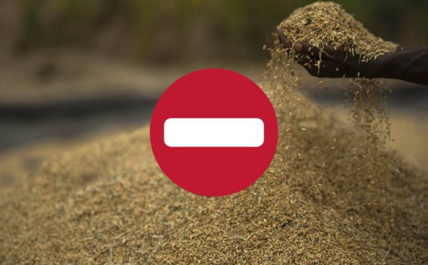 Alerte sur la disponibilité du riz indien