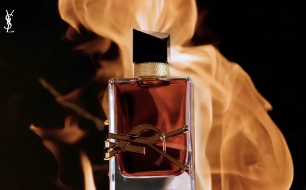 L'art de la parfumerie : un voyage à travers les notes et les tendances