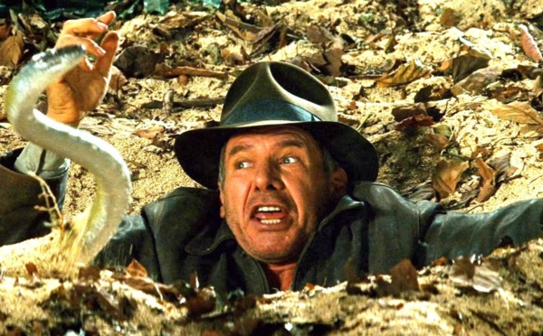 Une espèce de serpent nouvellement découverte nommée d'après Harrison Ford