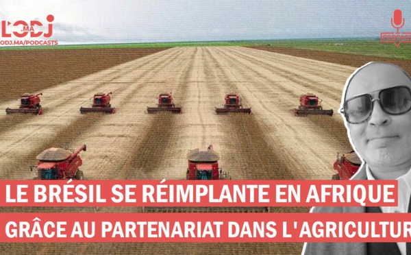 Le Brésil se réimplante en Afrique grâce au partenariat dans l'Agriculture