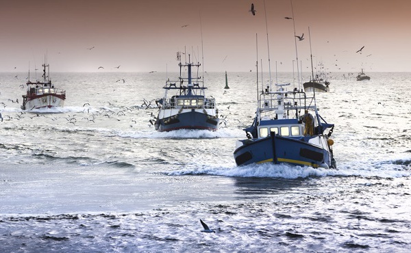Pêche côtière &amp; artisanale : hausse des débarquements en valeur