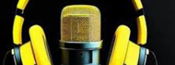  C’est quoi un Footix ?