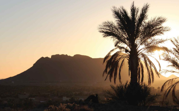 Figuig : Le 16ème festival des cultures des oasis, du 1er au 3 décembre 