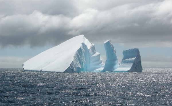 Le plus grand Iceberg du monde vient de lever l’ancre 