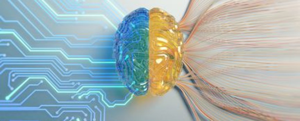 Un bio-ordinateur créé avec des cellules cérébrales humaines