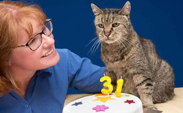 Cat chat célèbre ses 31 ans, marquant 26 années de vie avec sa famille adoptive