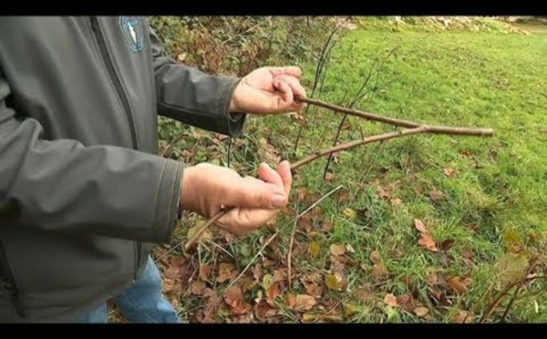 Sécheresse : Et si on mobilisait nos sourciers !