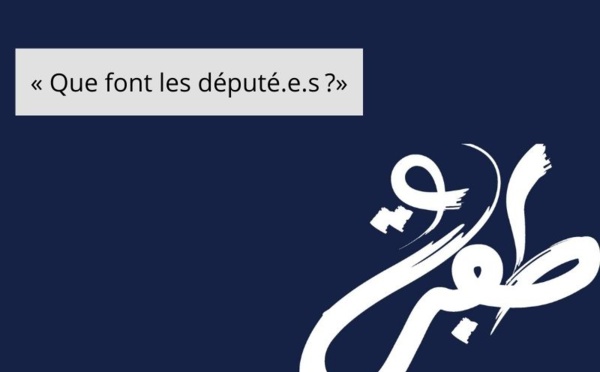 TAFRA : « Que font les député.e.s ?»